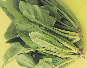 Spinach